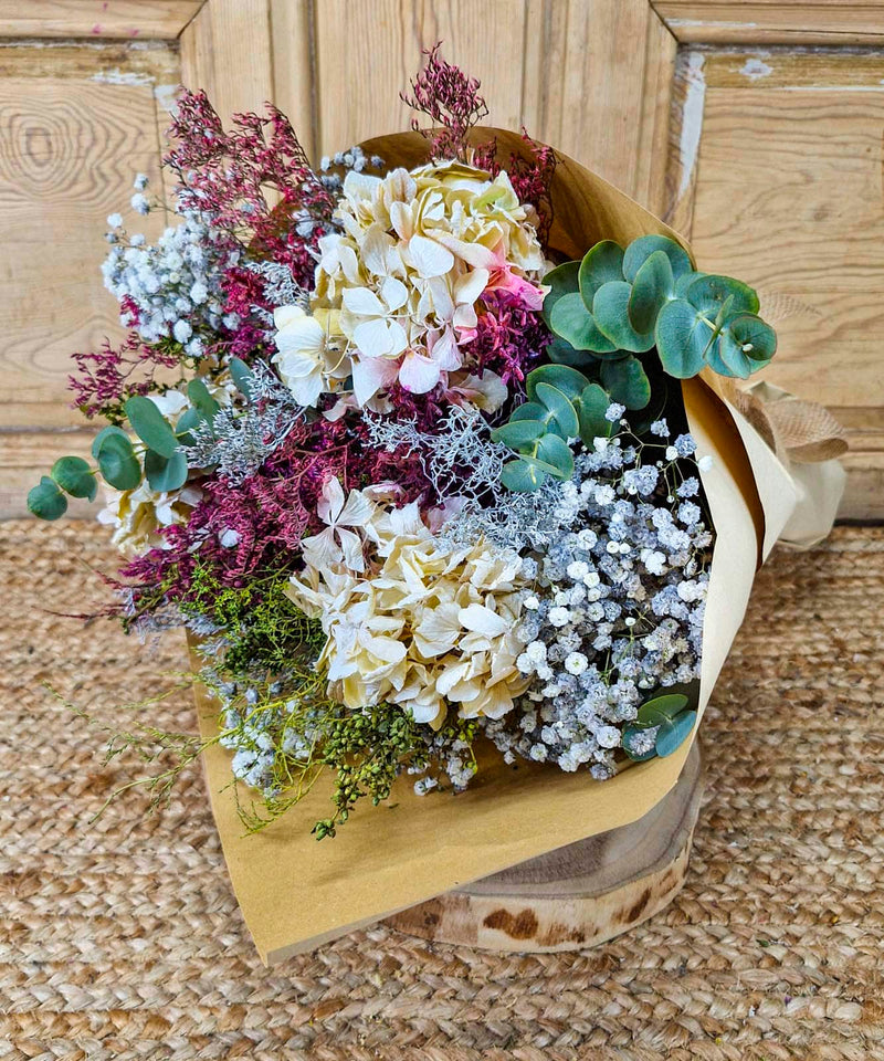 plantas que florecen en enero — Mar de Flores