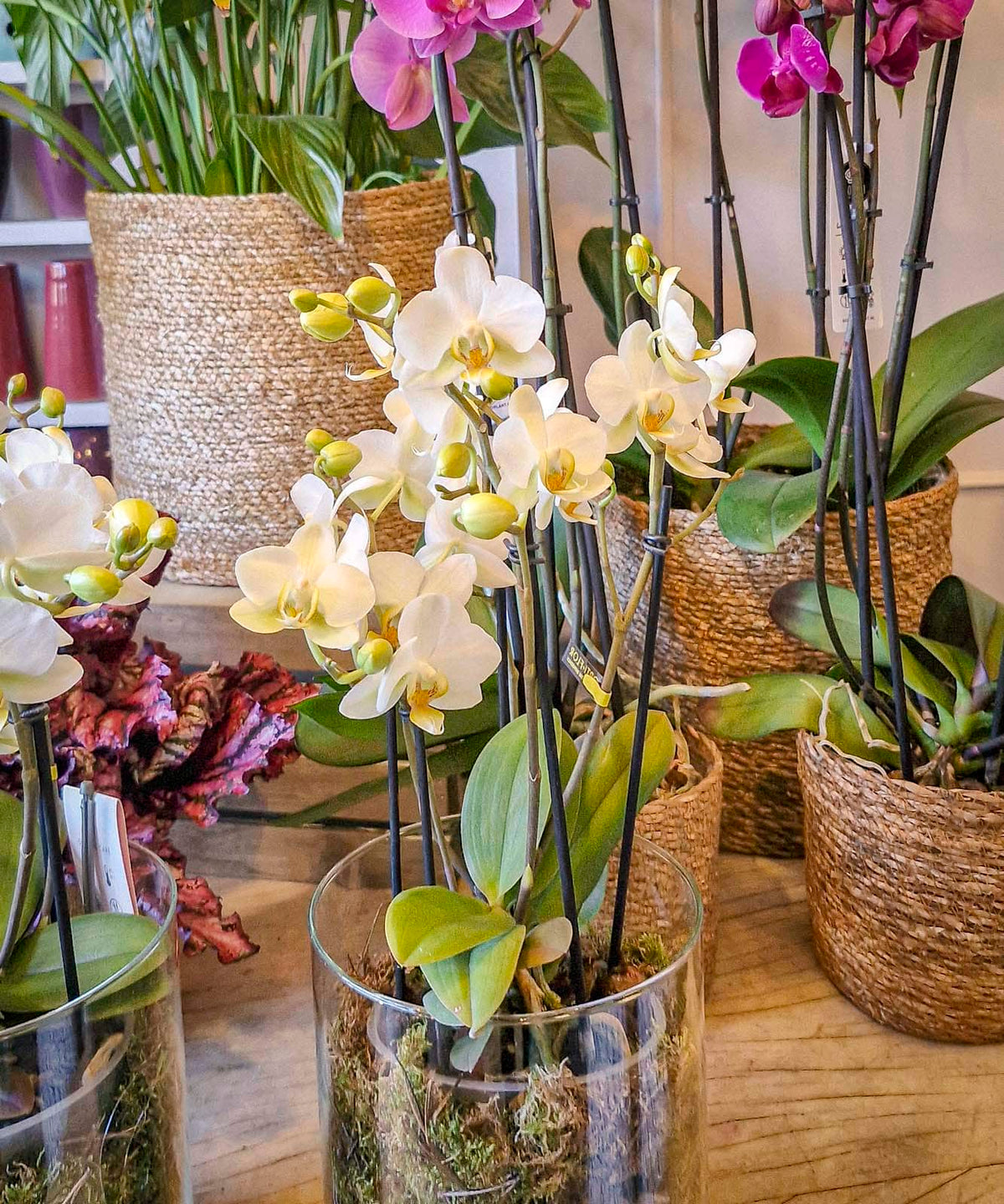 una buena iniciativa westwing home living — Mar de Flores
