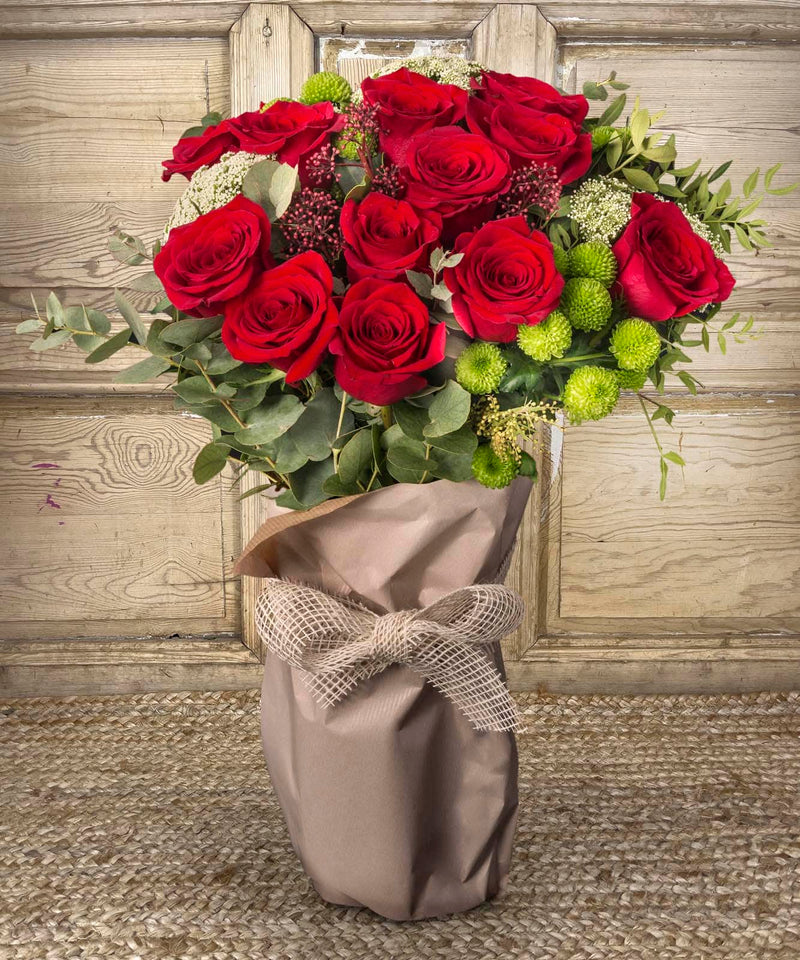 cuidar flor de pascua — Mar de Flores