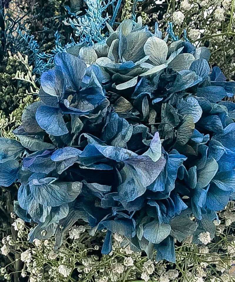 cuales son las principales partes de la flor — Mar de Flores