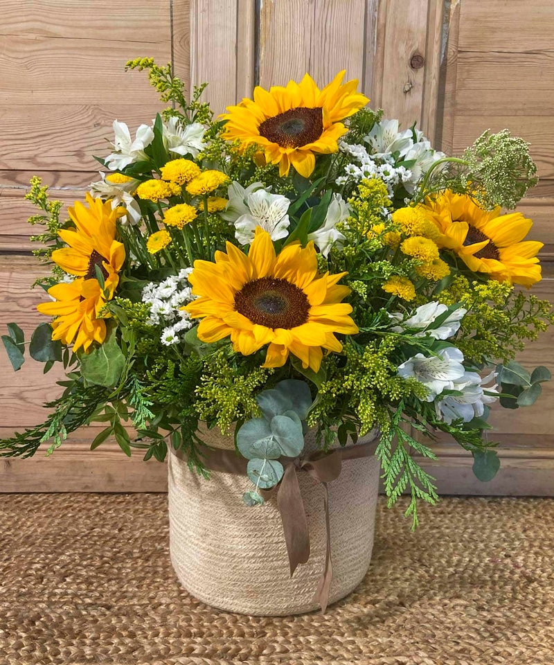 crisantemo flores de otono — Mar de Flores