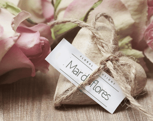 Las mejores 15 Frases para el Día de la Madre