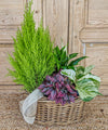 Montana, plantas en cesta