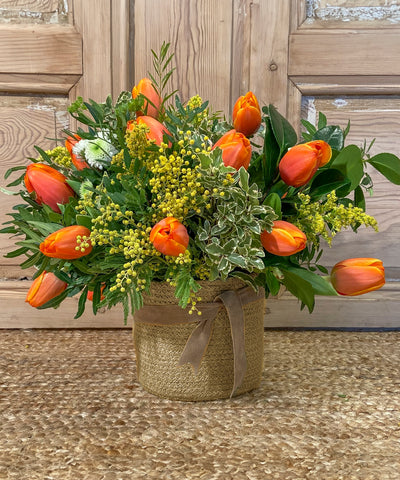 Breda, cesta con Tulipanes